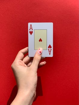 Selaile Casinohuone Com - Suomalainen Nettikasino Ja Pelitarjonta