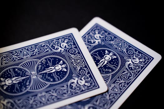 Selaile Casinohuone Com - Suomalainen Nettikasino Ja Pelitarjonta